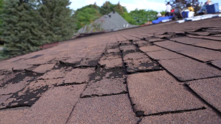 Best Roof Insulation Installation  in Lafayette, IN